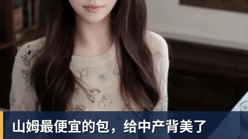 山姆最便宜的包，给中产背美了